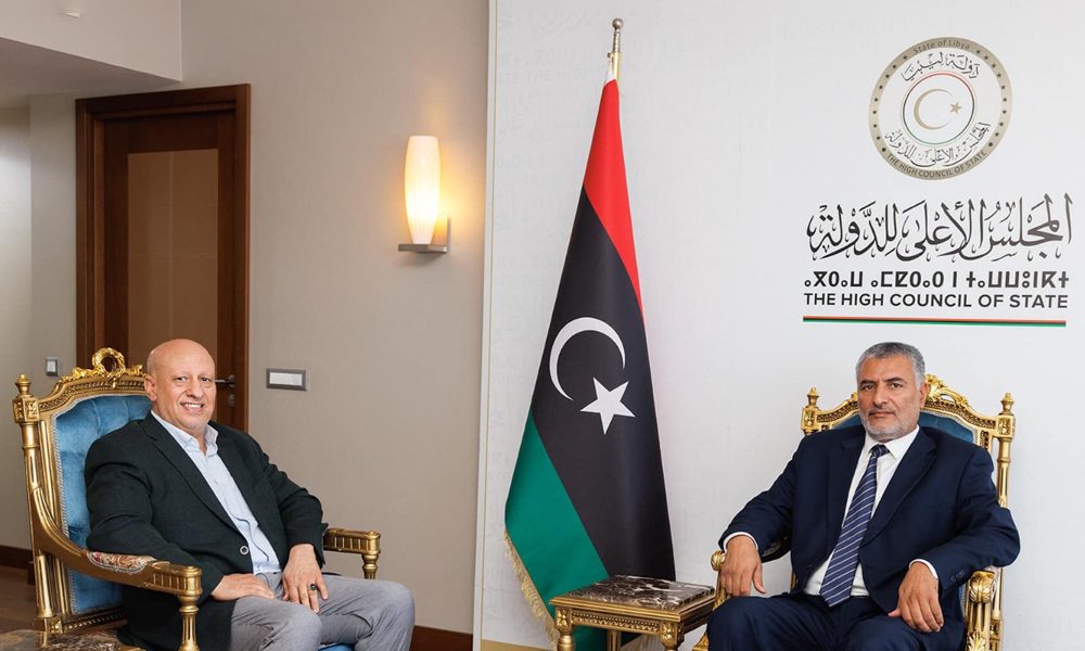 رئيس الحزب الديمقراطي محمد صوان يلتقي رئيس المجلس الأعلى للدولة